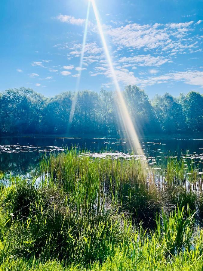 Freya Blue Ferienhaus Weener Zewnętrze zdjęcie